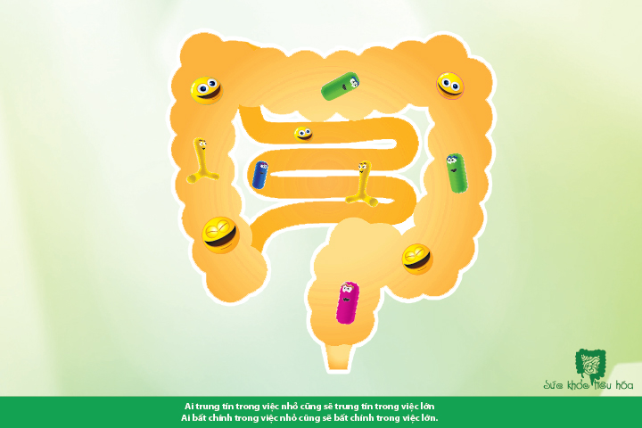 Nhấn vào ảnh để phóng to MEN VI SINH DÙNG ĐÚNG VÀ ĐỦ CHO HIỆU QUẢ HẤP THU TỐT