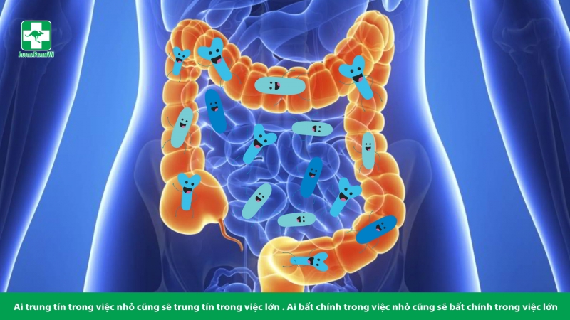 BẰNG CHỨNG VỀ MỐI LIÊN HỆ CHẶT CHẼ GIỮA COVID – 19 VÀ HỆ VI SINH RUỘT