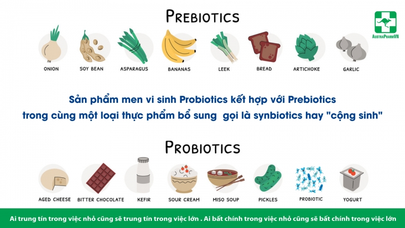 ÍCH LỢI CỦA MEN VI SINH PROBIOTICS ĐỐI VỚI SỨC KHỎE 