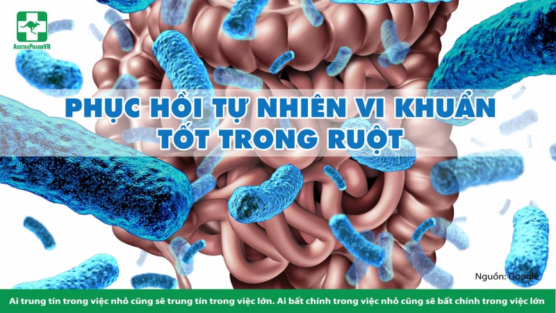 PHỤC HỒI TỰ NHIÊN VI KHUẨN TỐT TRONG RUỘT