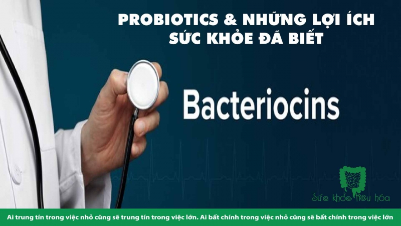 CÁ NHÂN HÓA SỬ DỤNG  PROBIOTICS  SẼ  ĐEM LẠI NHIỀU HIỆU QUẢ HƠN