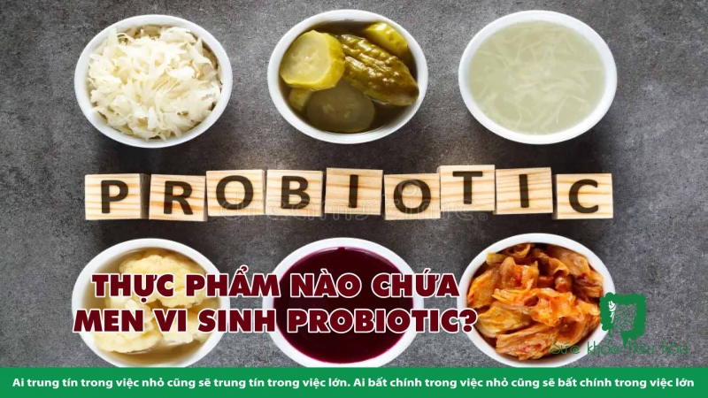 HỎI & ĐÁP VỀ PROBIOTICS & BỆNH NHIỄM KHUẨN Ở TRẺ 