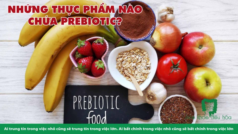 HỎI & ĐÁP VỀ PROBIOTICS & BỆNH NHIỄM KHUẨN Ở TRẺ 