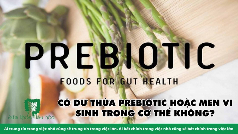 HỎI & ĐÁP VỀ PROBIOTICS & BỆNH NHIỄM KHUẨN Ở TRẺ 