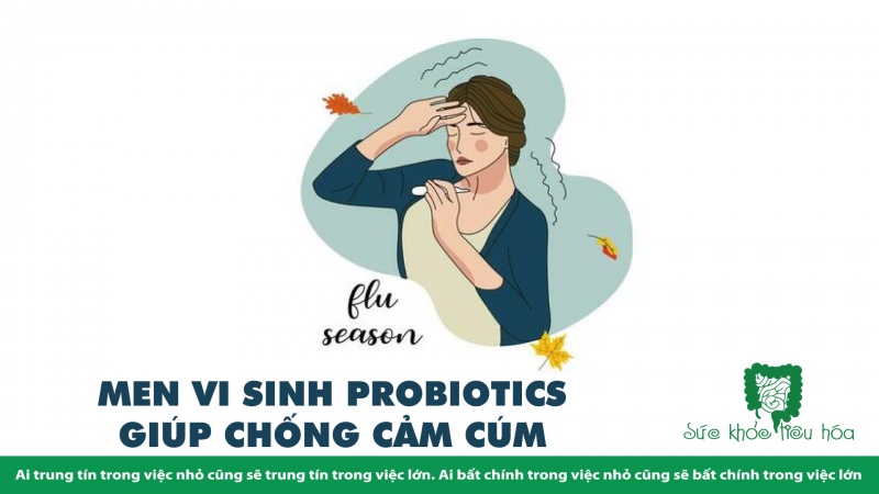 MEN VI SINH PROBIOTICS GIÚP CHỐNG CẢM  CÚM