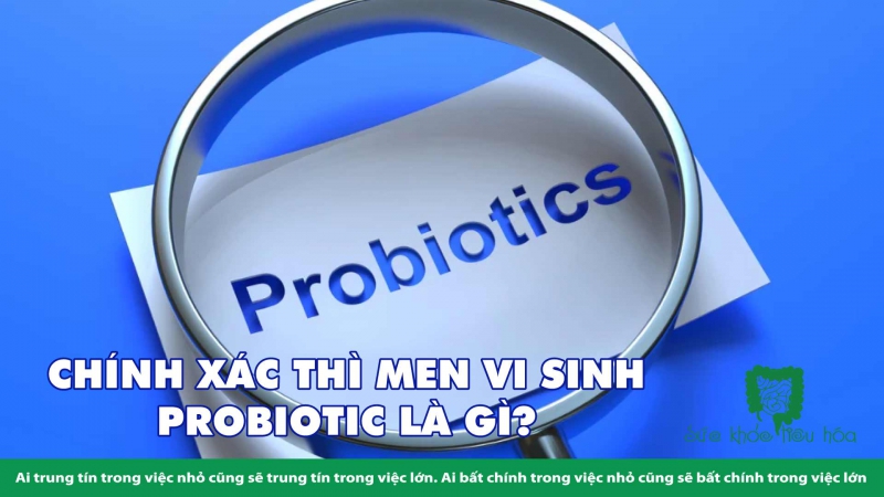 MEN VI SINH PROBIOTICS GIÚP CHỐNG CẢM  CÚM