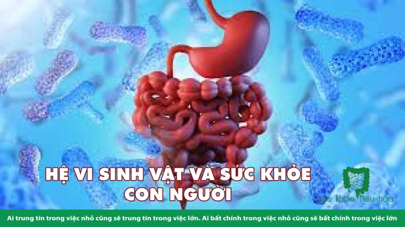 SỨC MẠNH CỦA HỆ VI SINH VẬT