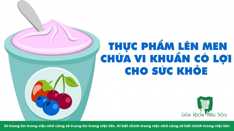  THỰC PHẨM LÊN MEN CHỨA VI KHUẨN CÓ LỢI CHO SỨC KHỎE 