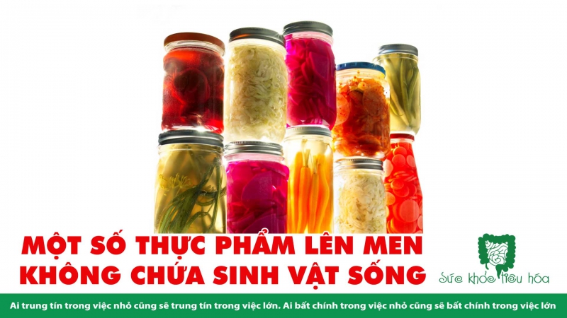  THỰC PHẨM LÊN MEN CHỨA VI KHUẨN CÓ LỢI CHO SỨC KHỎE 