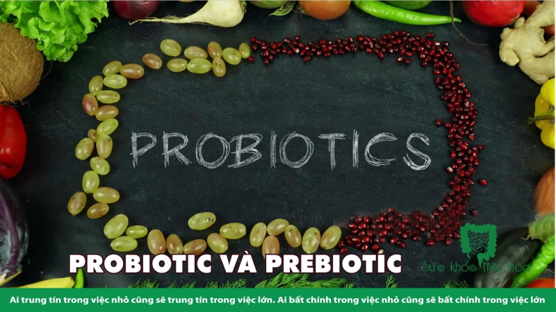   TRẺ EM NÊN DÙNG MEN VI SINH PROBIOTICS 