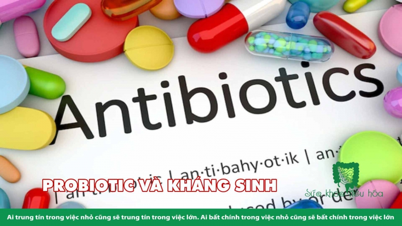   TRẺ EM NÊN DÙNG MEN VI SINH PROBIOTICS 