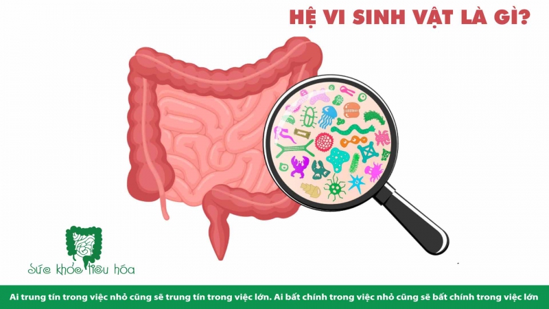 TÁC DỤNG HỆ VI SINH ẨN DƯỚI LÀN DA TƯƠI ĐẸP