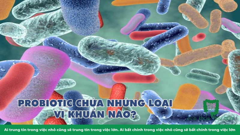 NHỮNG HIỂU BIẾT THƯỜNG THỨC VỀ PROBIOTICS Ở  HOA KỲ