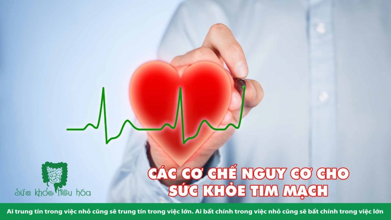 CHẤT NHŨ HÓA & PHỤ GIA THỰC PHẨM LÀM TĂNG NGUY CƠ BỆNH TIM MẠCH 