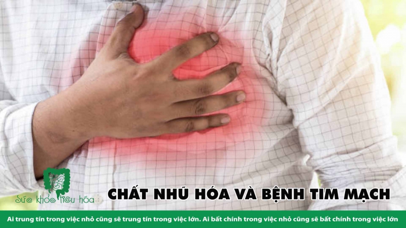 CHẤT NHŨ HÓA & PHỤ GIA THỰC PHẨM LÀM TĂNG NGUY CƠ BỆNH TIM MẠCH 