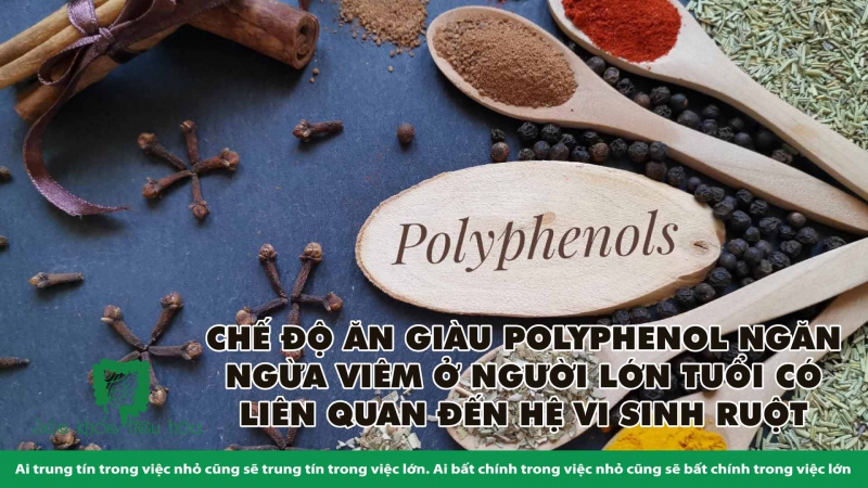 CHẾ ĐỘ ĂN GIÀU POLYPHENOL NGĂN NGỪA VIÊM Ở NGƯỜI LỚN TUỔI CÓ LIÊN QUAN ĐẾN HỆ VI SINH RUỘT