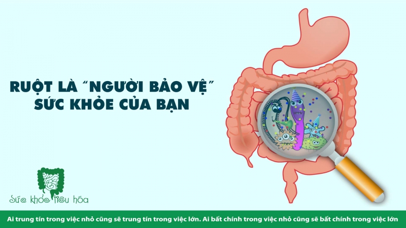 CÁCH DINH DƯỠNG CẢI THIỆN SỨC KHỎE ĐƯỜNG RUỘT & HỆ MIỄN DỊCH