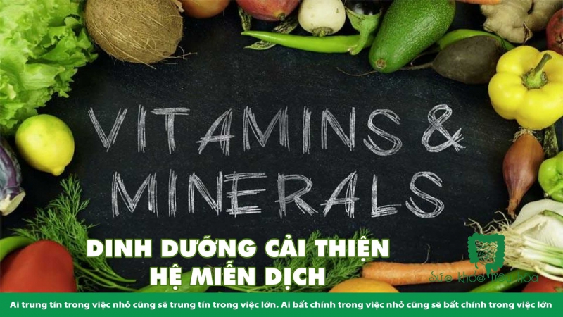 CÁCH DINH DƯỠNG CẢI THIỆN SỨC KHỎE ĐƯỜNG RUỘT & HỆ MIỄN DỊCH