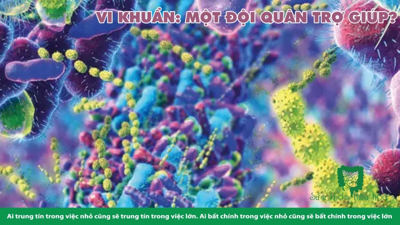 HỆ MIỄN DỊCH & HỆ VI SINH - CƠ HỘI NGHIÊN CỨU VỀ UNG THƯ