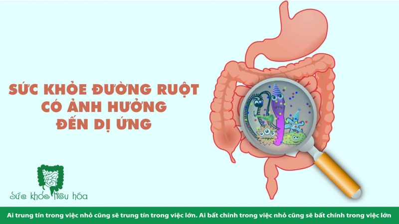 LIÊN HỆ  DỊ ỨNG THỰC PHẨM & SỨC KHỎE ĐƯỜNG RUỘT