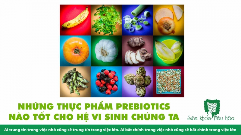 NHỮNG THỰC PHẨM PREBIOTICS NÀO TỐT CHO HỆ VI SINH CHÚNG TA