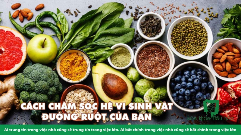 VÌ SAO HỆ VI SINH VẬT ĐƯỜNG RUỘT LẠI QUAN TRỌNG VỚI SỨC KHỎE 