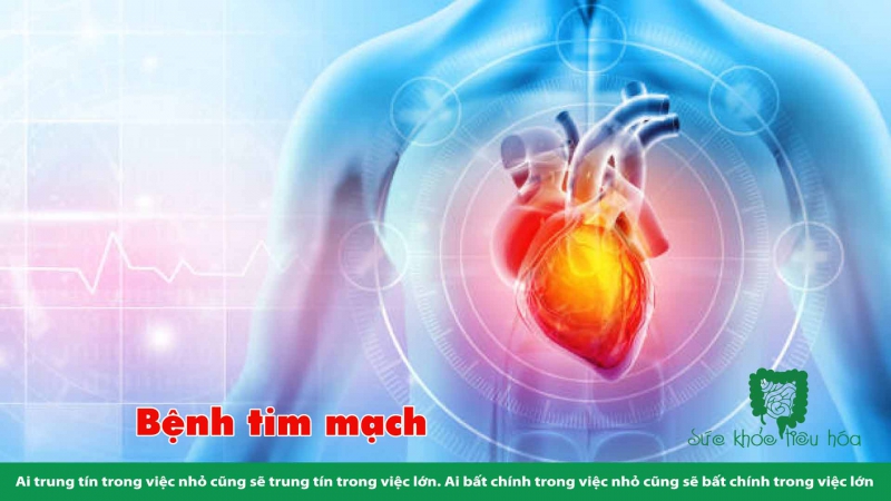 AKKERMANSIA MUCINIPHILA: MỘT VI KHUẨN QUAN TRỌNG TRONG HỆ VI SINH RUỘT HỖ TRỢ SỨC KHỎE TỐT