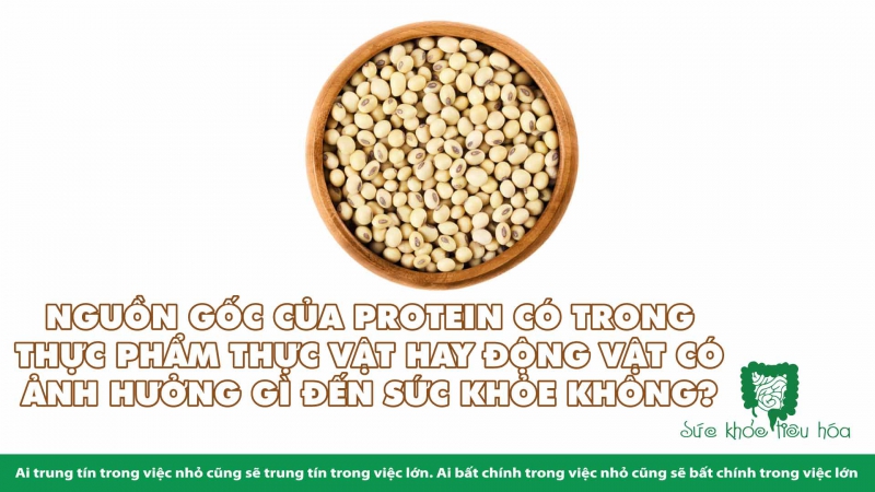 ẢNH HƯỞNG SỨC KHỎE CỦA  ĐẠM THỰC VẬT VÀ ĐẠM ĐỘNG VẬT