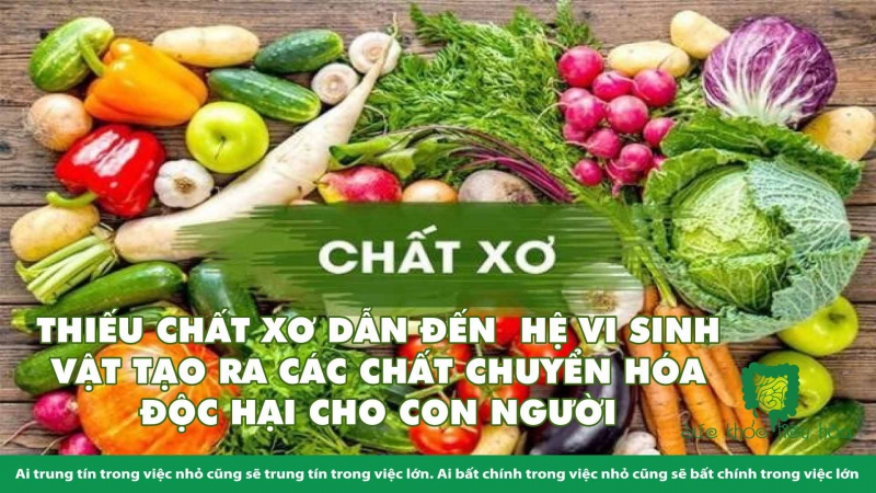 CHẾ ĐỘ ĂN KHÔNG ĐỦ CHẤT XƠ LÀM HẠI HỆ VI SINH RUỘT & HỆ MIỄN DỊCH