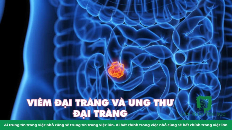 CHẾ ĐỘ ĂN KHÔNG ĐỦ CHẤT XƠ LÀM HẠI HỆ VI SINH RUỘT & HỆ MIỄN DỊCH