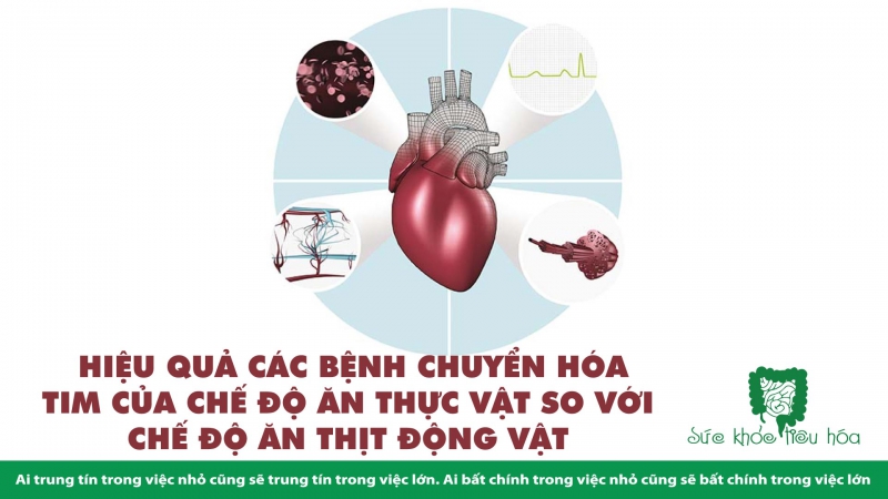  HIỆU QUẢ CÁC BỆNH CHUYỂN HÓA TIM CỦA CHẾ ĐỘ ĂN THỰC VẬT SO VỚI CHẾ ĐỘ ĂN THỊT ĐỘNG VẬT