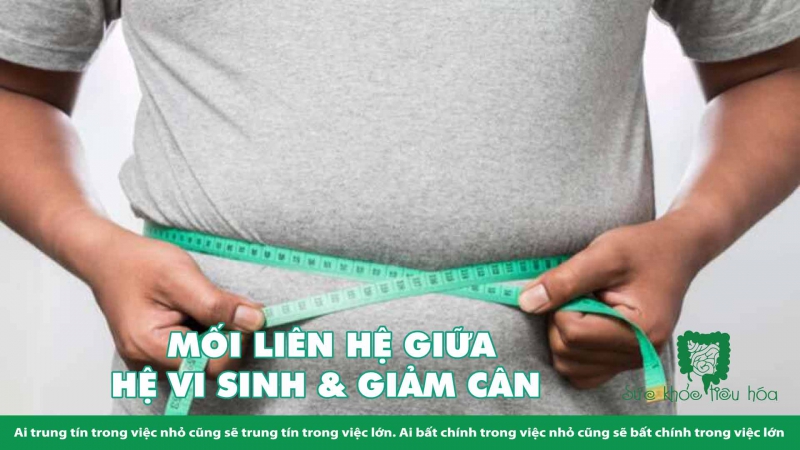  MỐI LIÊN HỆ GIỮA HỆ VI SINH & GIẢM CÂN 