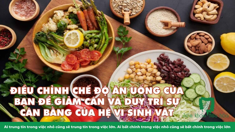  MỐI LIÊN HỆ GIỮA HỆ VI SINH & GIẢM CÂN 