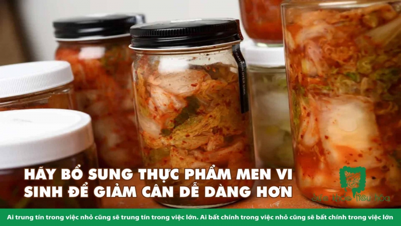  MỐI LIÊN HỆ GIỮA HỆ VI SINH & GIẢM CÂN 