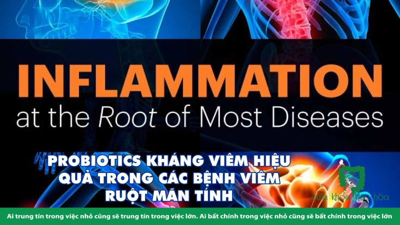 PROBIOTICS KHÁNG VIÊM HIỆU QUẢ TRONG CÁC BỆNH VIÊM RUỘT MÃN TÍNH 