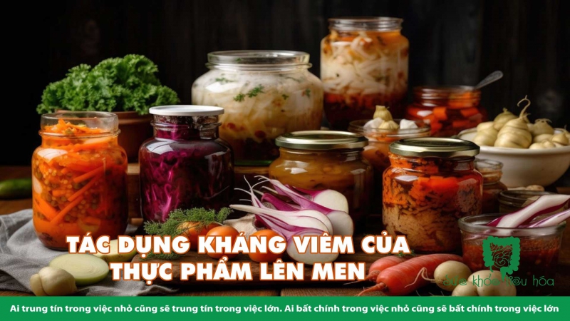 TÁC DỤNG KHÁNG VIÊM CỦA THỰC PHẨM LÊN MEN