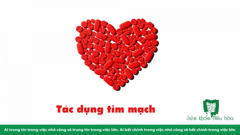 TÁC DỤNG KHÁNG VIÊM CỦA THỰC PHẨM LÊN MEN