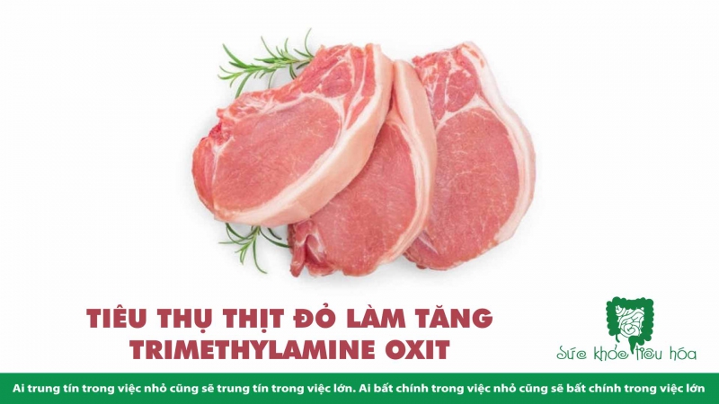 TIÊU THỤ THỊT ĐỎ LÀM TĂNG TRIMETHYLAMINE OXIT  (TMAO) MỘT CHUYỂN HÓA CHẤT LIÊN QUAN BỆNH TIM MẠCH