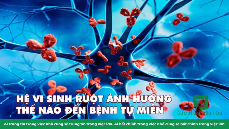 HỆ VI SINH RUỘT ẢNH HƯỞNG THẾ NÀO ĐẾN BỆNH TỰ MIỄN