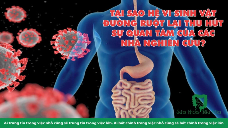 NHỮNG PHÁT TRIỂN MỚI CỦA LIỆU PHÁP HỆ VI SINH VẬT