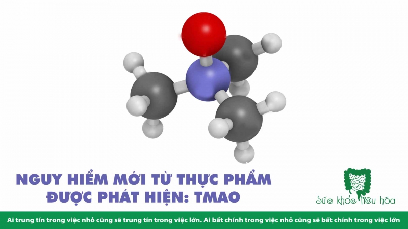 TMAO LÀ GÌ, VÌ SAO CHÚNG TA NÊN TRÁNH XA? 