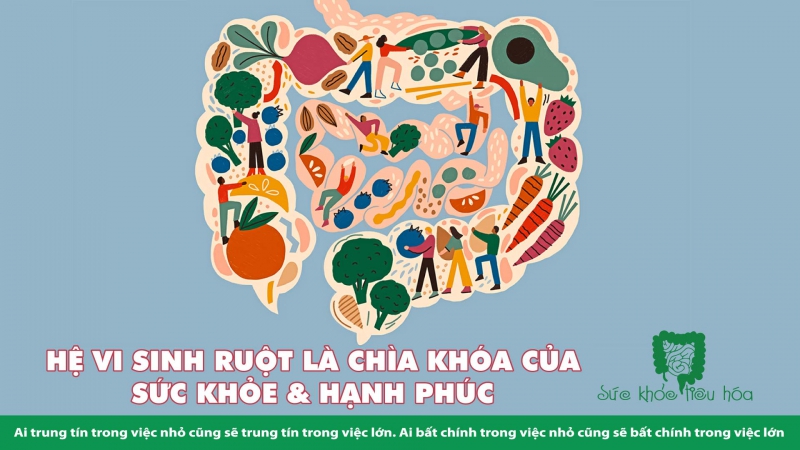 HỆ VI SINH RUỘT LÀ CHÌA KHÓA CỦA SỨC KHỎE & HẠNH PHÚC