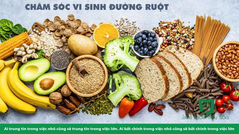 HỆ VI SINH RUỘT LÀ CHÌA KHÓA CỦA SỨC KHỎE & HẠNH PHÚC