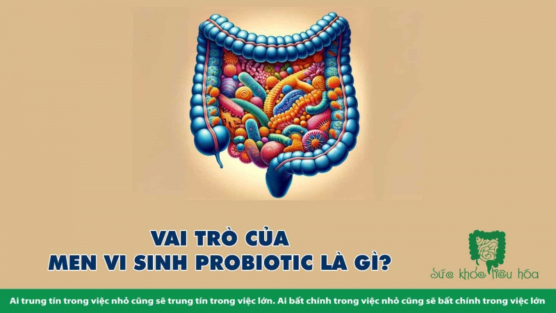 MEN VI SINH PROBIOTICS CÓ THỰC SỰ TỐT CHO SỨC KHỎE?