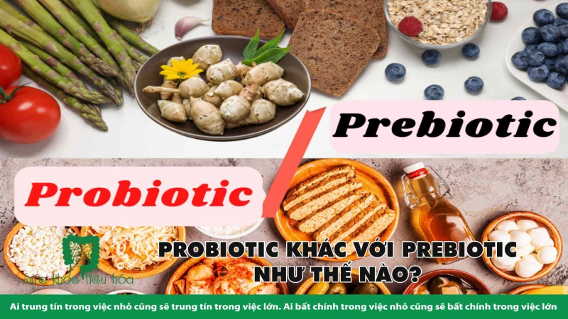 MEN VI SINH PROBIOTICS CÓ THỰC SỰ TỐT CHO SỨC KHỎE?