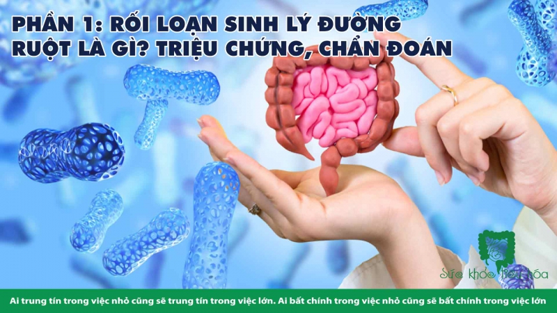 RỐI LOẠN SINH LÝ ĐƯỜNG RUỘT