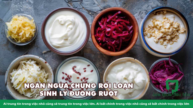 RỐI LOẠN SINH LÝ ĐƯỜNG RUÔT