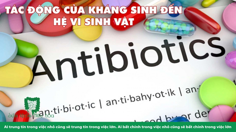 SỰ KẾT HỢP TẾ NHỊ KHI DÙNG PROBIOTICS & THUỐC KHÁNG SINH