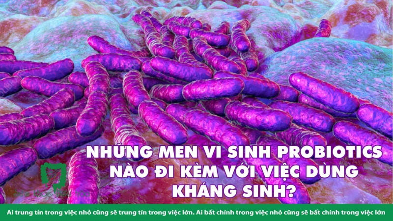 SỰ KẾT HỢP TẾ NHỊ KHI DÙNG PROBIOTICS & THUỐC KHÁNG SINH