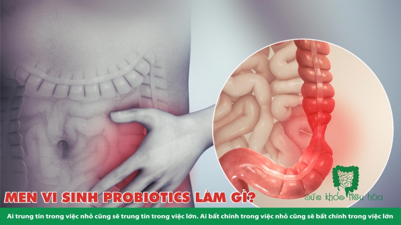 MEN VI SINH PROBIOTICS LÀ GÌ ? 